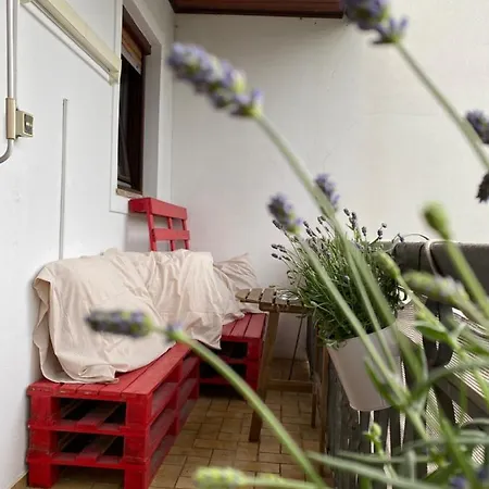 Wine-apartment Nahe Der Suedsteirischen Weinstrasse Lejlighed Straß in Steiermark